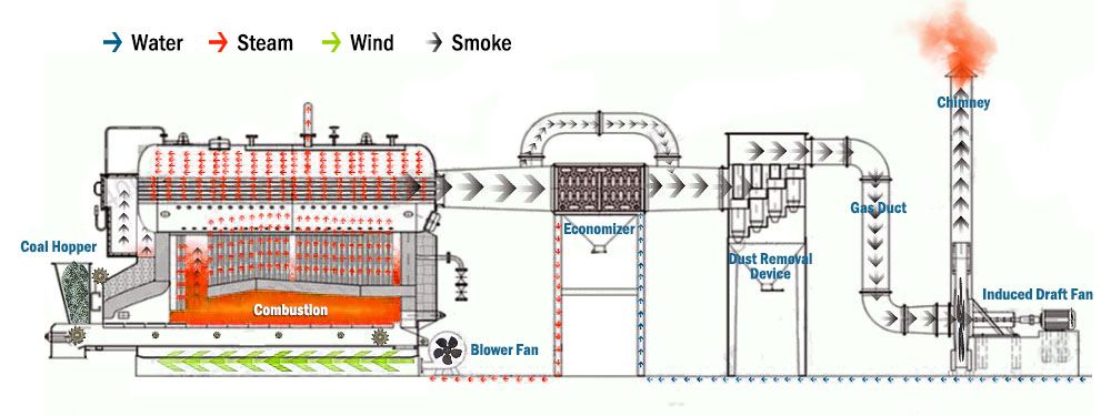 DZL Series Chain Grate Biomass Wood Steam Boiler - Steam Boiler - 3